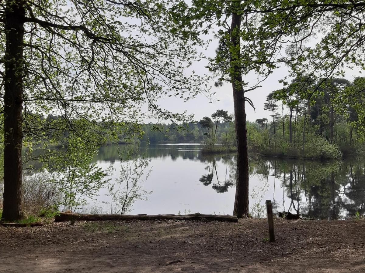 Chalet Blauwborst Oisterwijk Eksteriør billede
